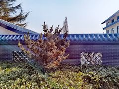 -洪泽湖古堰景区