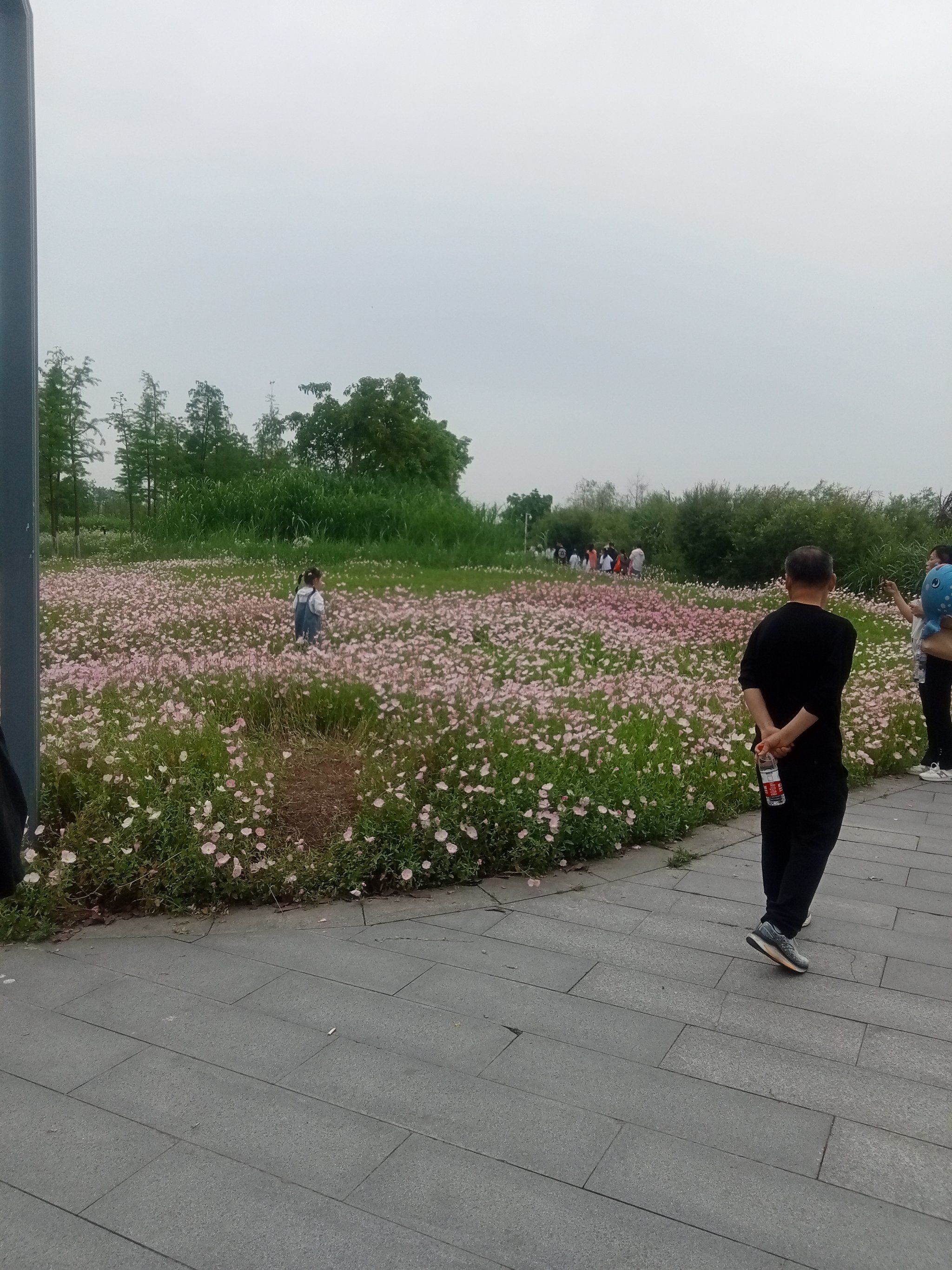 重庆潼南湿地公园