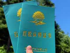 -五营红松林海景区