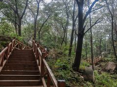 -大岭沟猕猴桃谷风景区