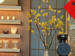 -溯洄咖啡VORTEX COFFEE