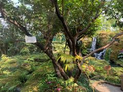 -Chom Cafe and Restaurant