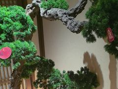 -揽季锅物会.福建黄鱼.海鲜姿造(五四路店)