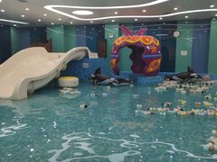 -Swim斯卫姆国际儿童游泳中心(红博中央公园店)