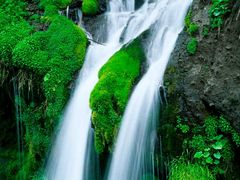 -lululemon(上海浦东IFC店)