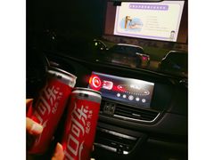 -枫花园汽车电影院(朝阳公园店)