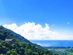 -三亚亚龙湾人间天堂鸟巢度假村