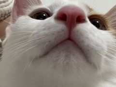 -宠颐生汉谟拉比宠物医院