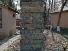 -象山森林公园