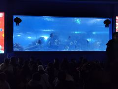 -重庆欢乐海底世界
