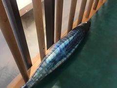 -望湘园·洞庭渔宴(永旺店)