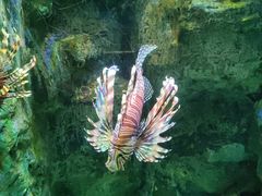 -左海海底世界