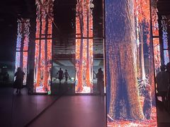 -中国湿地博物馆