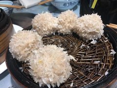 大力丸-风波庄(罍街分舵)