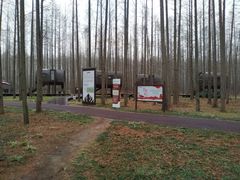 -黄海国家森林公园