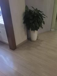 -安徽合肥韩美整形外科医院