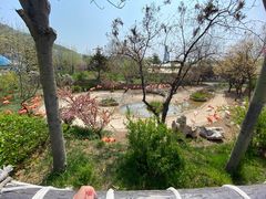 -大连森林动物园