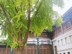 -国家图书馆·古籍馆