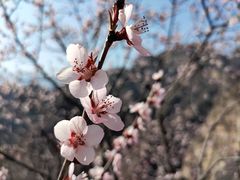 -圣莲山风景区