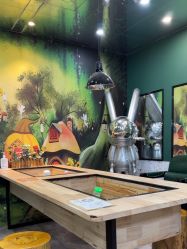-神奇动物撸宠馆·羊驼·小浣熊·异宠(豫园店)