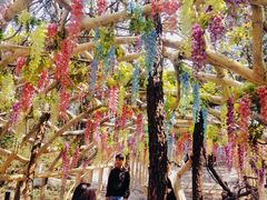 -牛鱼嘴原始生态风景区