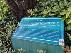 -紫金山天文台