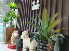 -亚洲国际大酒店·云顶阁旋转自助餐厅
