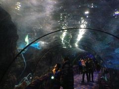 iphone_upload_pic-郑州海洋馆