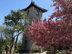 -爱新觉罗皇家博物院