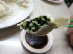 韭菜肉水饺-赫记哈尔滨水饺(红庙店)