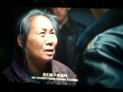 -中影嘉华国际影城(大芬星都里店)