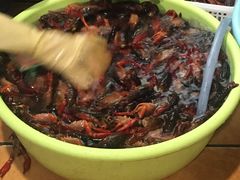-熊记虾王·小龙虾(东晓南店)