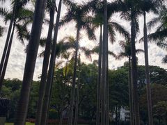 -广州雕塑公园