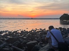 -宝安西湾红树林湿地公园