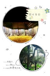 -恐龙探索乐园(磁器口店)