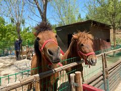 -西部长青自然儿童乐园