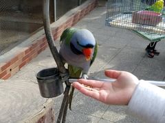 android_upload_pic-迎泽公园