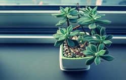 -Oasis Beauty水磨坊科技美肤中心