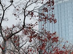 -艾溪湖湿地公园