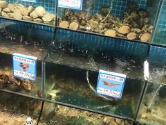 -范饭椰林川湘味海鲜·椰子鸡(三亚湾椰梦长廊店)