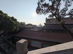 -顺峰山公园