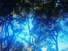 -无锡惠山寺