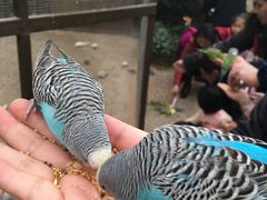 -南宫五洲植物乐园