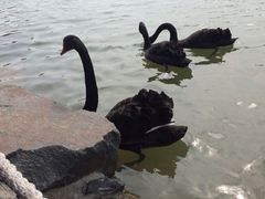 iphone_upload_pic-上海怡沁园度假酒店