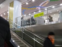 -奥体中心(地铁站)