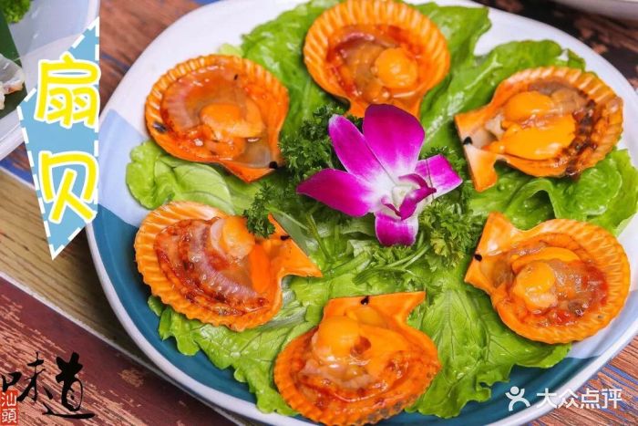 炉仔解密·海鲜小火锅扇贝图片 - 第2张