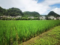 -高荡千年布依古寨旅游景区