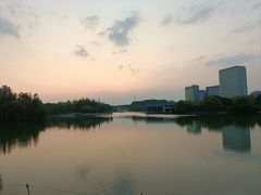 -吴淞炮台湾湿地森林公园烧烤区