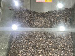 -刘艳明炒货(小心桥店)