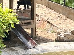 -石家庄市动物园